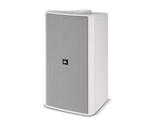 Control 29AV-1 8寸壁掛音箱