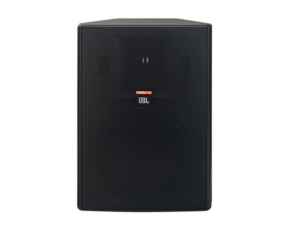 Control 28 8寸壁掛音箱