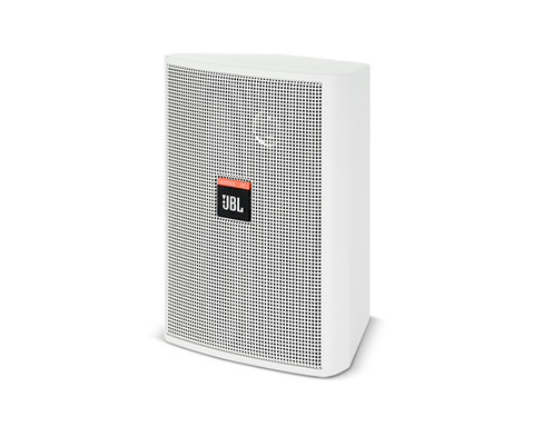 Control 23 3.5寸壁掛音箱