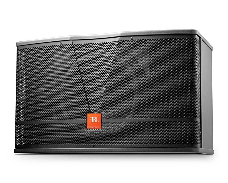 CV1052T 10寸卡包音響